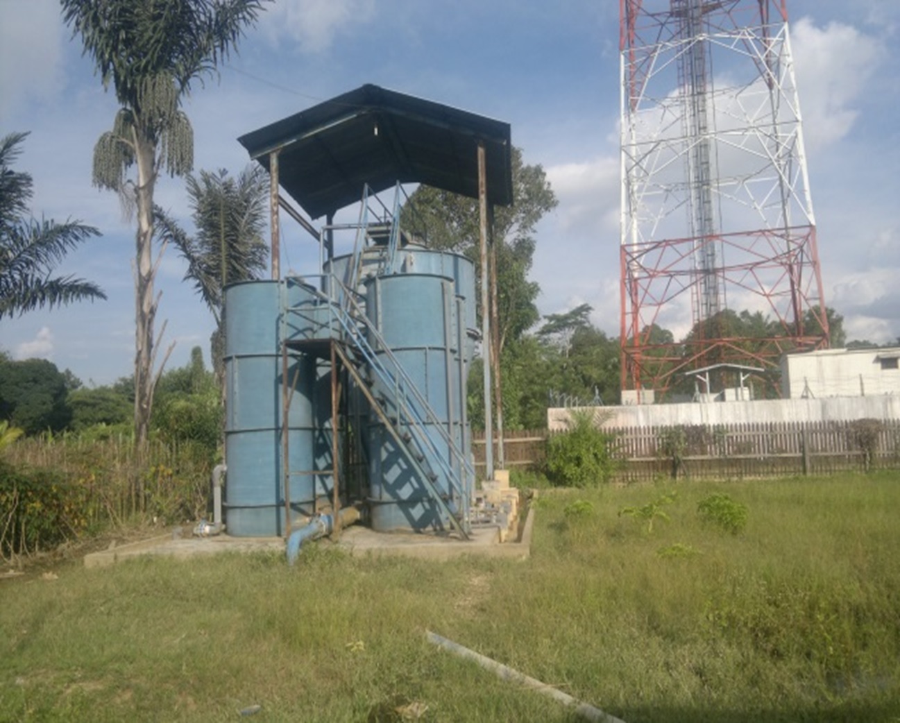 unit produksi kembang janggut